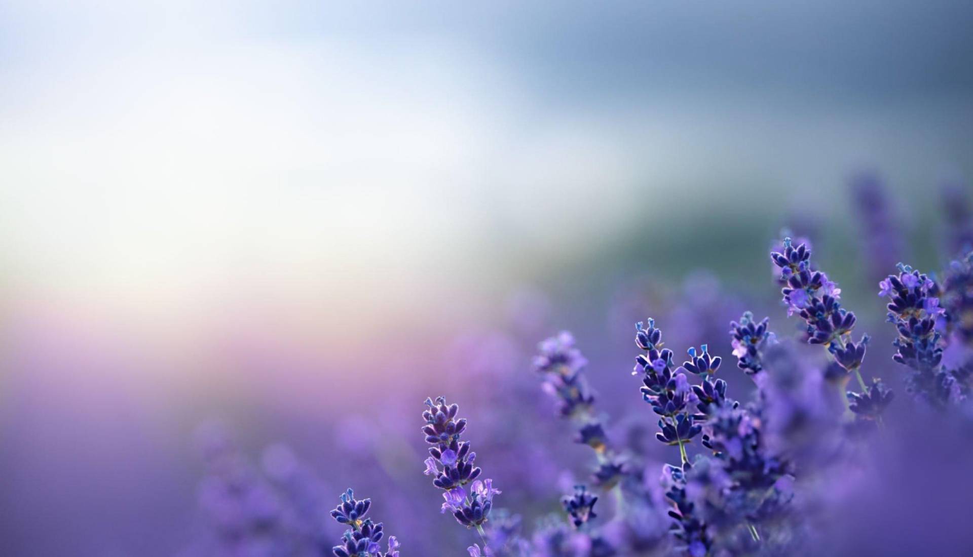 Being Kind to Yourself: The Importance of Self-Compassion